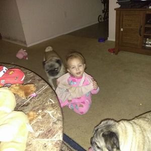 Meet your Posher, Brittney